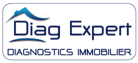 logo diag expert